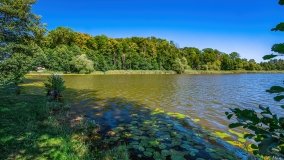 jezioro Bęskie - zdjęcie 35