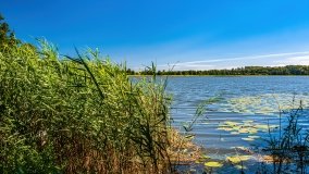 jezioro Bęskie - zdjęcie 34