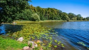 jezioro Bęskie - zdjęcie 33