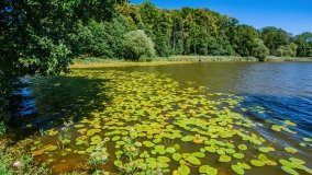 jezioro Bęskie - zdjęcie 32