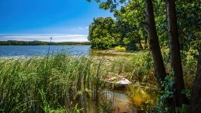 jezioro Bęskie - zdjęcie 29