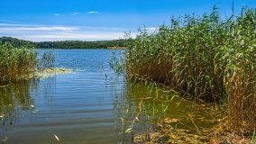 jezioro Bęskie - zdjęcie 14