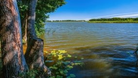 jezioro Bęskie - zdjęcie 13