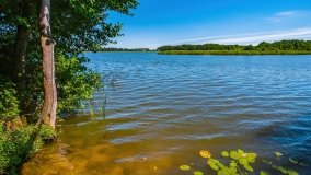 jezioro Bęskie - zdjęcie 12