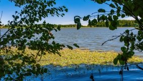 jezioro Bęskie - zdjęcie 11