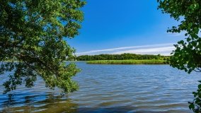 jezioro Bęskie - zdjęcie 10