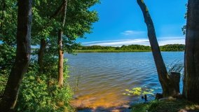 jezioro Bęskie - zdjęcie 9