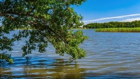 jezioro Bęskie - zdjęcie 8