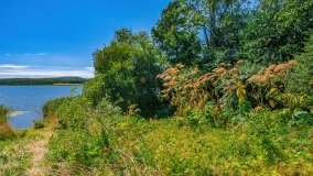 jezioro Bęskie - zdjęcie 7