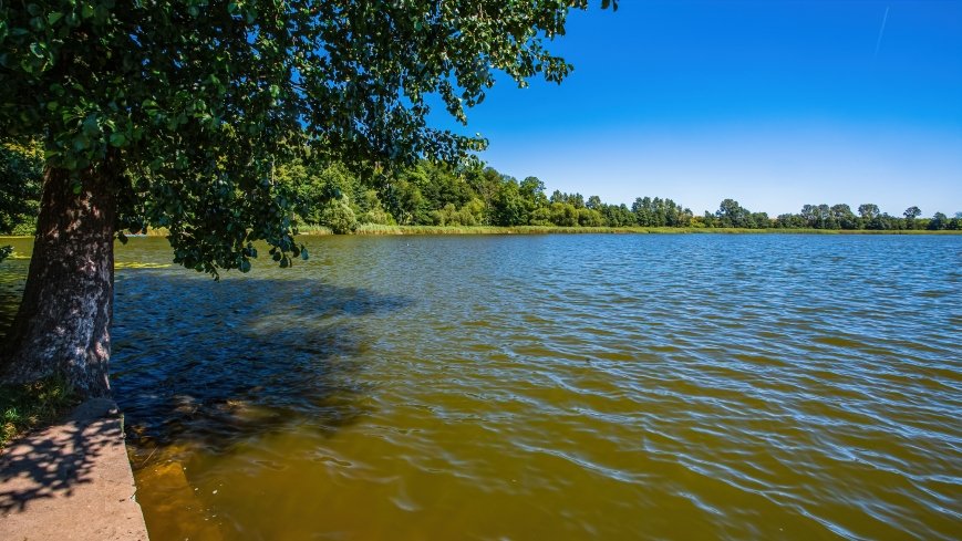 jezioro Bęskie - zdjęcie 1