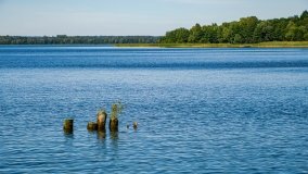 jezioro Luterskie - zdjęcie 21