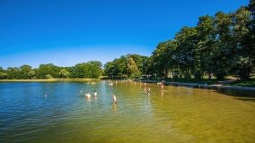 jezioro Luterskie - zdjęcie 20