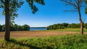 jezioro Luterskie - zdjęcie 8