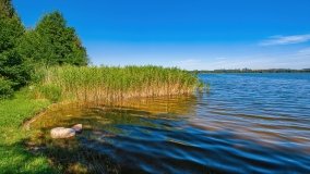 jezioro Ławki - zdjęcie 9