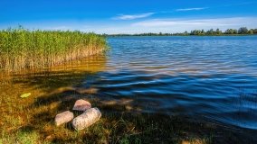 jezioro Ławki - zdjęcie 8