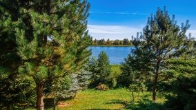 jezioro Ławki - zdjęcie 5