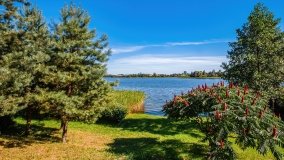 jezioro Ławki - zdjęcie 3