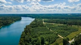 Jezioro Łęsk - zdjęcie 14