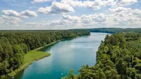 Jezioro Łęsk - zdjęcie 12