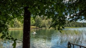 Jezioro Łęsk - zdjęcie 11