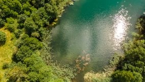 Jezioro Łęsk - zdjęcie 9