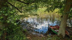 Jezioro Łęsk - zdjęcie 6