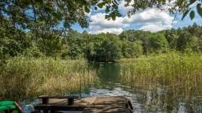 Jezioro Łęsk - zdjęcie 5