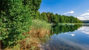 jezioro Piłakno - zdjęcie 17