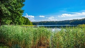 jezioro Piłakno - zdjęcie 16