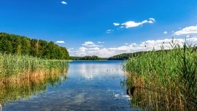 jezioro Piłakno - zdjęcie 13