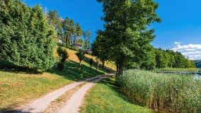 jezioro Piłakno - zdjęcie 8