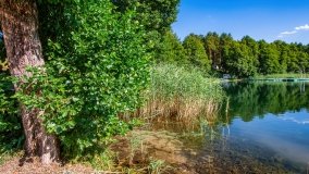 jezioro Piłakno - zdjęcie 7