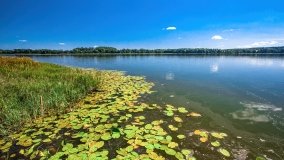 jezioro Lampackie - zdjęcie 43