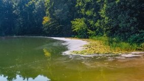 jezioro Lampackie - zdjęcie 42