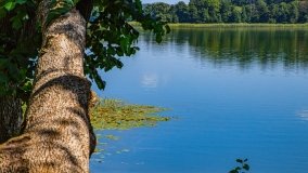 jezioro Lampackie - zdjęcie 40