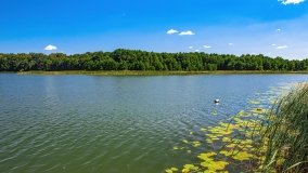 jezioro Lampackie - zdjęcie 25
