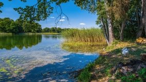 jezioro Lampackie - zdjęcie 18