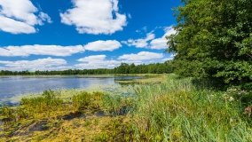 jezioro Pamerek - zdjęcie 11