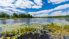 jezioro Pamerek - zdjęcie 10