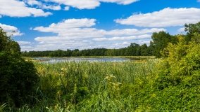 jezioro Pamerek - zdjęcie 9