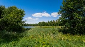 jezioro Pamerek - zdjęcie 8