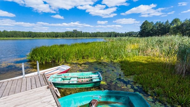 Pamerek - zdjęcie 4