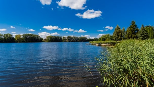 Grajewko - zdjęcie 7