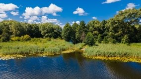 jezioro Grajewko - zdjęcie 6