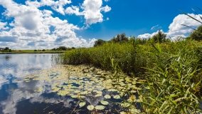 jezioro Grajewko - zdjęcie 4