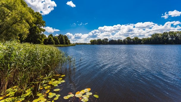 Grajewko - zdjęcie 3