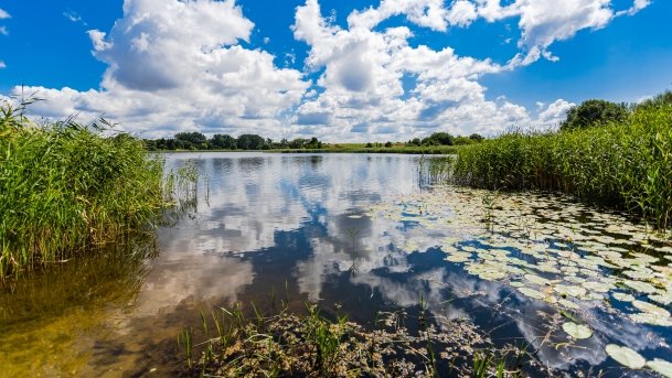 Grajewko - zdjęcie 2