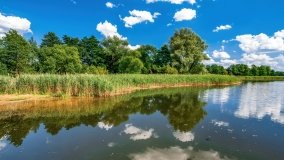 jezioro Salęt - zdjęcie 17