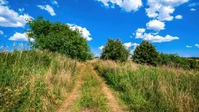 jezioro Salęt - zdjęcie 6