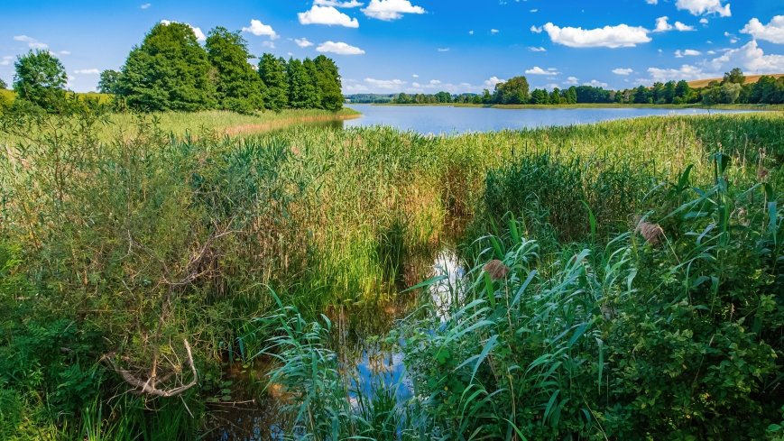 jezioro Salęt - zdjęcie 1